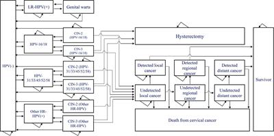 Vaccinating women previously treated for human papillomavirus-related cervical precancerous lesions is highly cost-effective in China